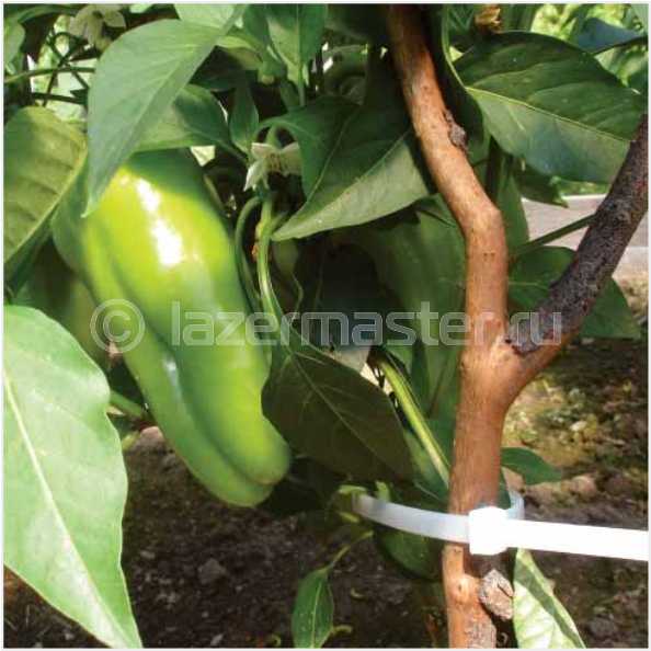 Кабельные стяжки и хомуты купить по низкой цене в Челябинске